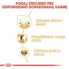 Sausas šunų ėdalas Royal Canin Cocker Adult 12 kg – paukštiena, 25 % baltymų, 14 % riebalų