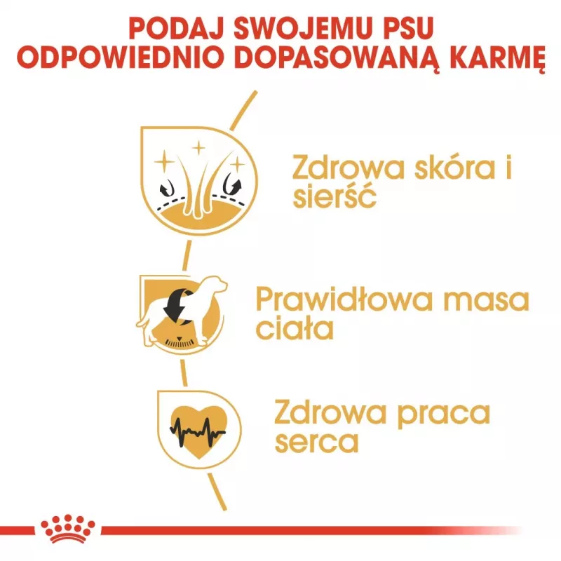 Sausas šunų ėdalas Royal Canin Cocker Adult 12 kg – paukštiena, 25 % baltymų, 14 % riebalų