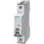 Siemens automatinis jungiklis 2 A 1 polius C (5SY4102-7)