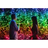 TWINKLY Strings 600 (TWS600STP-BEU) protingos eglutės lemputės 600 LED RGB 48 m