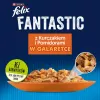 Felix Fanstastic vištiena su pomidoru – šlapias ėdalas katėms – 85 g