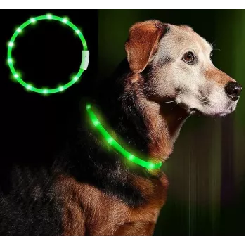 LED antkaklis Anicoll Green šunims ir katėms įkraunamas modelis