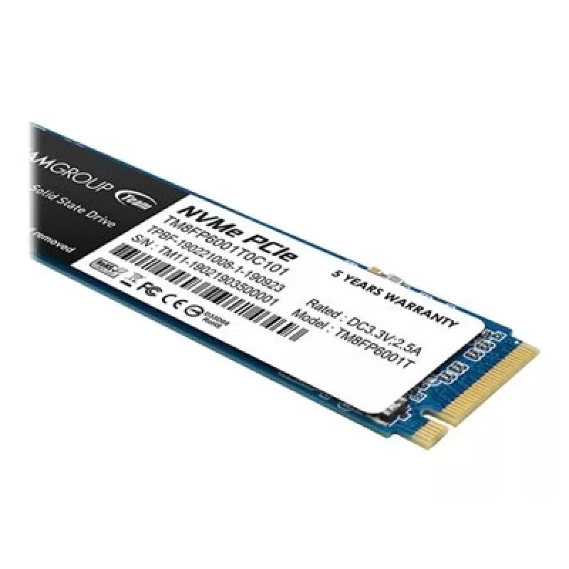 SSD diskas Team Group 1 TB M.2 PCI Express 3.0 NVMe MP33