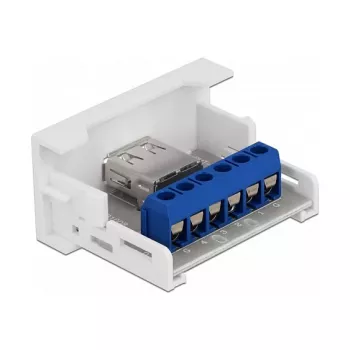 USB 2.0 Type-A moteriška jungtis prie gnybtų bloko DeLOCK Easy 45 modulis