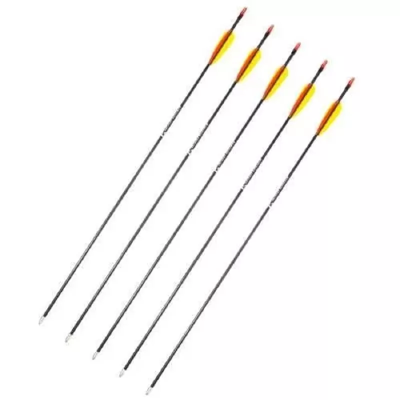 Strėlių rinkinys POE LANG D-055-B3 — stiklo pluošto strėlės, 710 mm, juodos, 5 vnt.