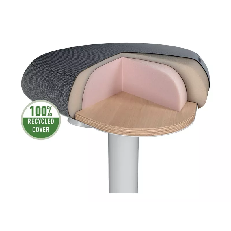 Biuro kėdė Leitz 65440085 su paminkštinta sėdyne, pilka, plastikinis rėmas