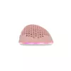 Pelė White Shark WGM-5012 Lionel Pink USB