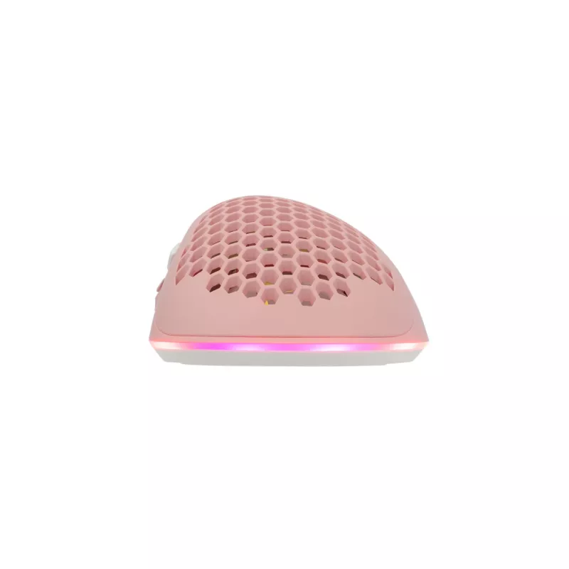 Pelė White Shark WGM-5012 Lionel Pink USB