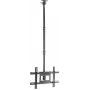 SpeaKa Professional SP-TVCM-540 TV lubų laikiklis su aukščio reguliavimu 94,0 cm 37 - 203,2 80 (SP-13660960)
