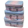 Kosmetinė Extralink LIFESTYLE 3-in-1 Organizer Makeup Case model 251