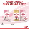 Royal Canin BABYCAT INSTINCTIVE šlapias kačių ėdalas 195 g