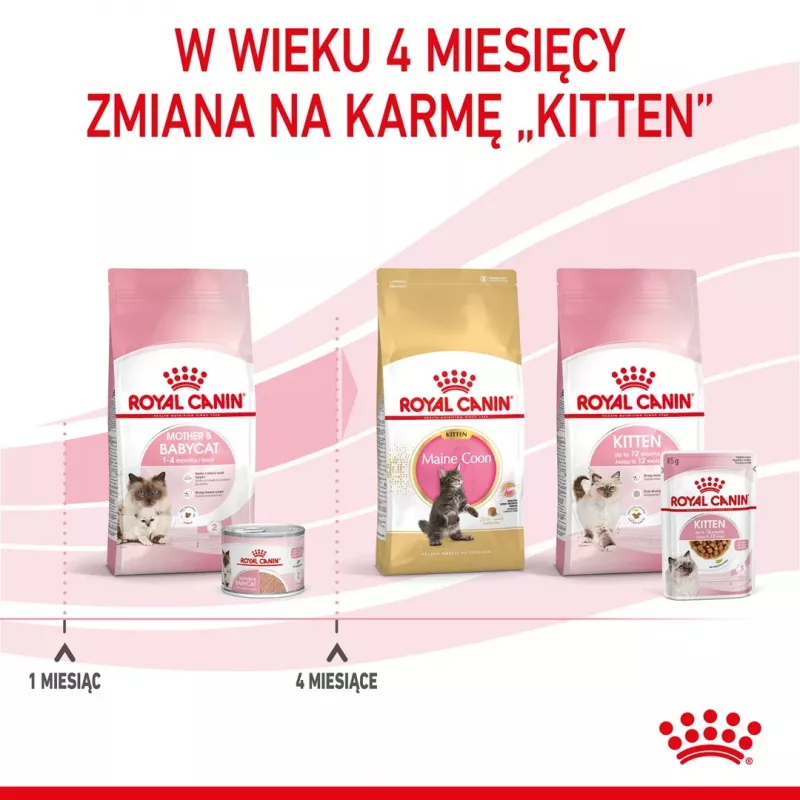 Royal Canin BABYCAT INSTINCTIVE šlapias kačių ėdalas 195 g
