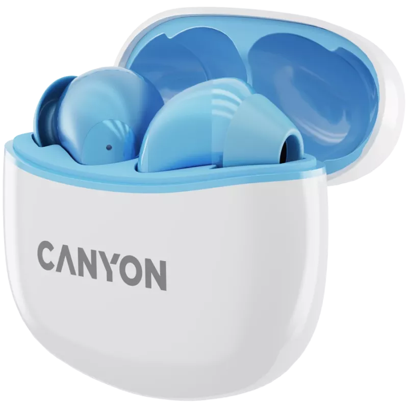 Ausinės Canyon TWS-5 CNS-TWS5BL – Tikrai belaidės – Bluetooth 5.3 – Į ausis – USB-C įkrovimo dėklas – Lietimo valdymas – Iki 38 h veikimo – Juodos