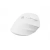 NATEC Crake 2 pelė Universal RF belaidė + Bluetooth optinė 2400 DPI