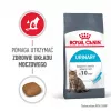 Royal Canin Urinary Care sausi kačių ėdalai suaugusiems su paukštiena 2 kg