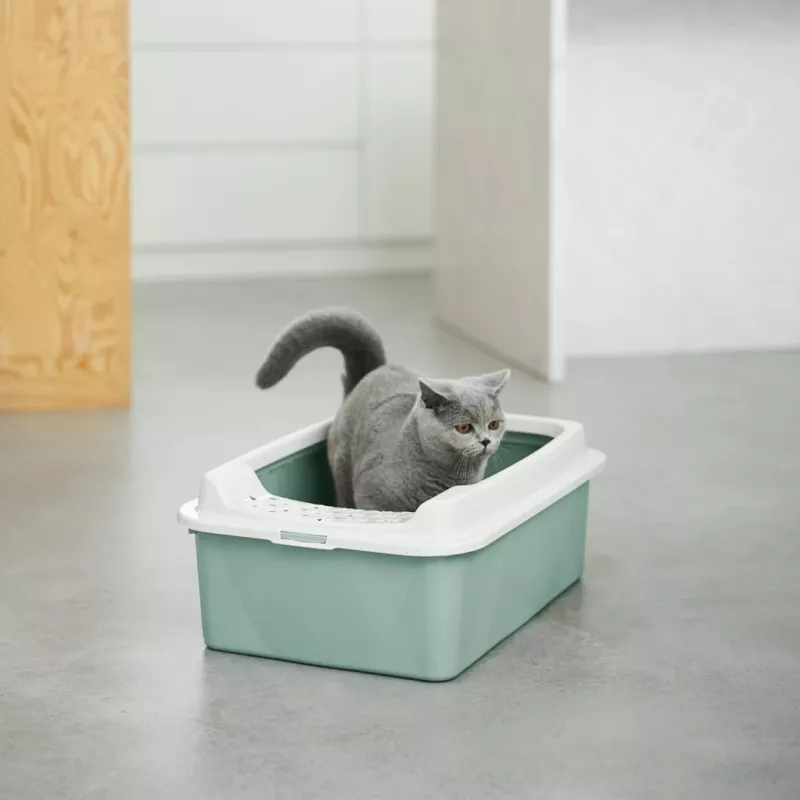 ROTHO Bonnie Eco Green - katės kraiko dėžė