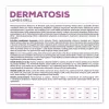 Sausas šunų ėdalas VETEXPERT Veterinary Diet Dermatosis Ėriena ir Krilis, 2 kg, suaugusiems šunims, baltymai 24%, riebalai 17%