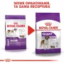 ROYAL CANIN Giant Adult – sausas šunų ėdalas – 15 kg
