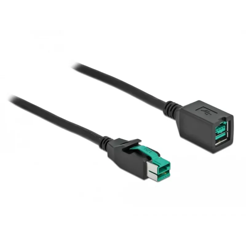 Maitinamas USB ilginimo kabelis DeLOCK 85980 12 V 1 m