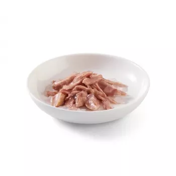 Šlapias kačių ėdalas SCHESIR in jelly Tuna – tunas drebučiuose, 85 g