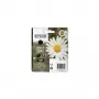 Epson Daisy kasetė juoda 18XL Claria Home Ink, didelės talpos (XL), pigmentinis rašalas, 1 vnt.