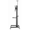 Grindinis TV stovas Gembird TVS-70T-02 37–70 col., 70 kg, VESA 200x200–600x400, pakreipiamas, reguliuojamas aukštis, ratukai