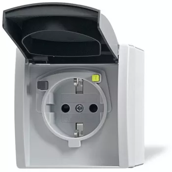 Busch-jaeger 2CKA003116A0664 pilka spalva