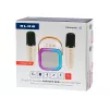 Karaoke garsiakalbis BLOW RGB Bluetooth 30W