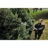 DeWALT strypinis gyvatvorių pjovimo priedas