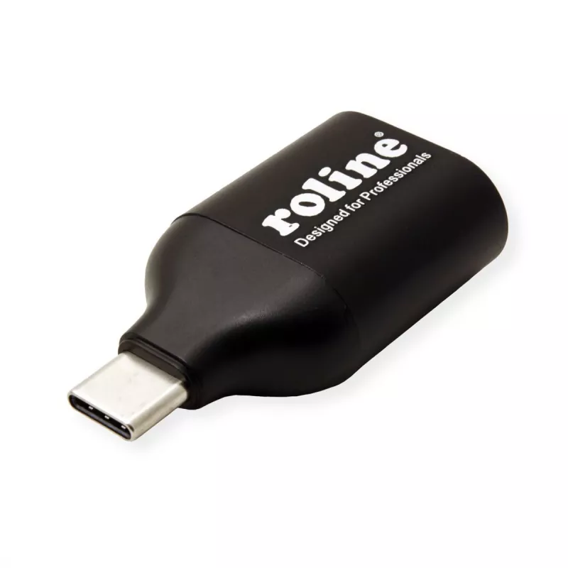 ROLINE 12.03.3228 USB grafikos adapteris 1920 x 1080 pikseliai juodas