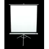 Tripoidinis projektorinis ekranas Elite Screens T113NWS1 2,87 m 1:1