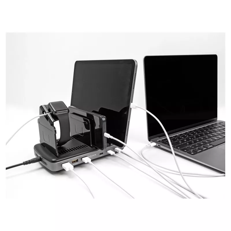 DeLOCK USB įkrovimo stotelė 3× USB Type-C PD 3× USB Type-A 112 W
