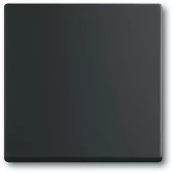 Jungiklis Busch-Jaeger 1751-0-3041, plastikinis korpusas, juodos spalvos, mygtukas, 63×63 mm