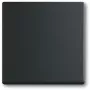 Jungiklis Busch-Jaeger 1751-0-3041, plastikinis korpusas, juodos spalvos, mygtukas, 63×63 mm