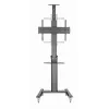 Grindinis TV stovas Gembird TVS-70T-02 37–70 col., 70 kg, VESA 200x200–600x400, pakreipiamas, reguliuojamas aukštis, ratukai