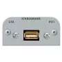Kištukinis lizdas USB A Kindermann 7441000522
