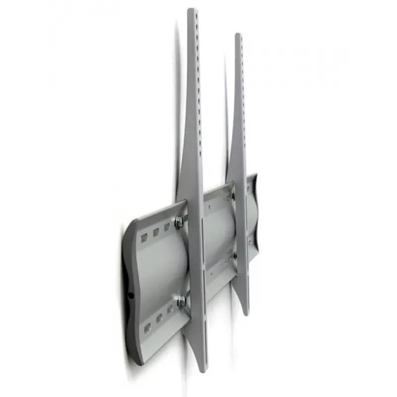 Ergotron 60-602-003 Sidabrinis