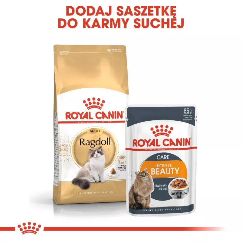 Sausas kačių ėdalas Royal Canin Ragdoll Adult 2 kg – vištiena