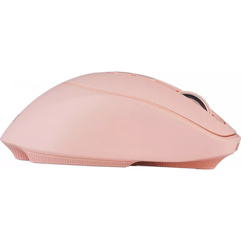 Belaidė pelė YENKEE YMS 2080PK SLIDER 2,4 GHz