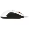 Pelė Tracer 47417 Gamezone Cool White RGB USB