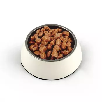 TEO Rich in beef - šlapias kačių ėdalas - 850g