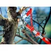 Genėjimo žirklės priekalui WOLF-Garten RC-M