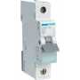 Hager MBN106 automatinis jungiklis, 6 A, 50/60 Hz
