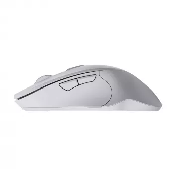 Pelė SBOX WM-308 balta USB