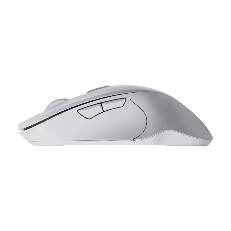 Pelė SBOX WM-308 balta USB