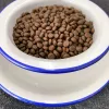 FOLK Didžiosios Lenkijos antis su obuoliais, putpele ir silke - sausas kačių ėdalas - 1,6 kg