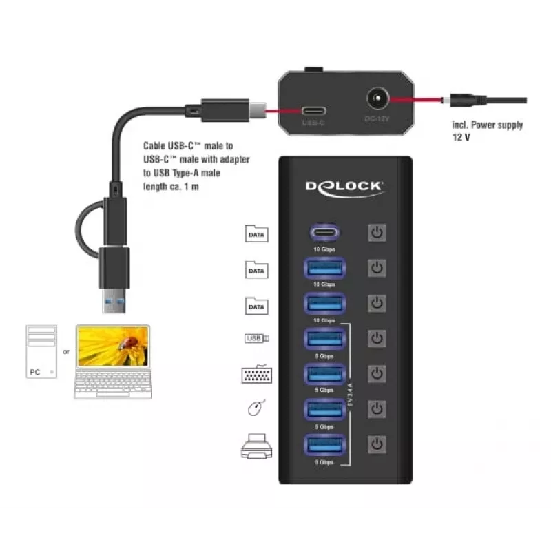DeLOCK 64326 USB 3.2 Gen 2 (3.1 Gen 2) Type-C centrinė stotelė 10000 Mbit/s juoda