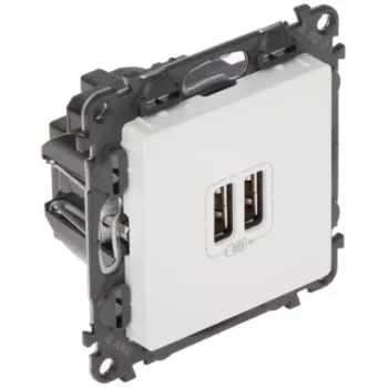 Sieninis lizdas su USB Legrand Valena Life LE-753112