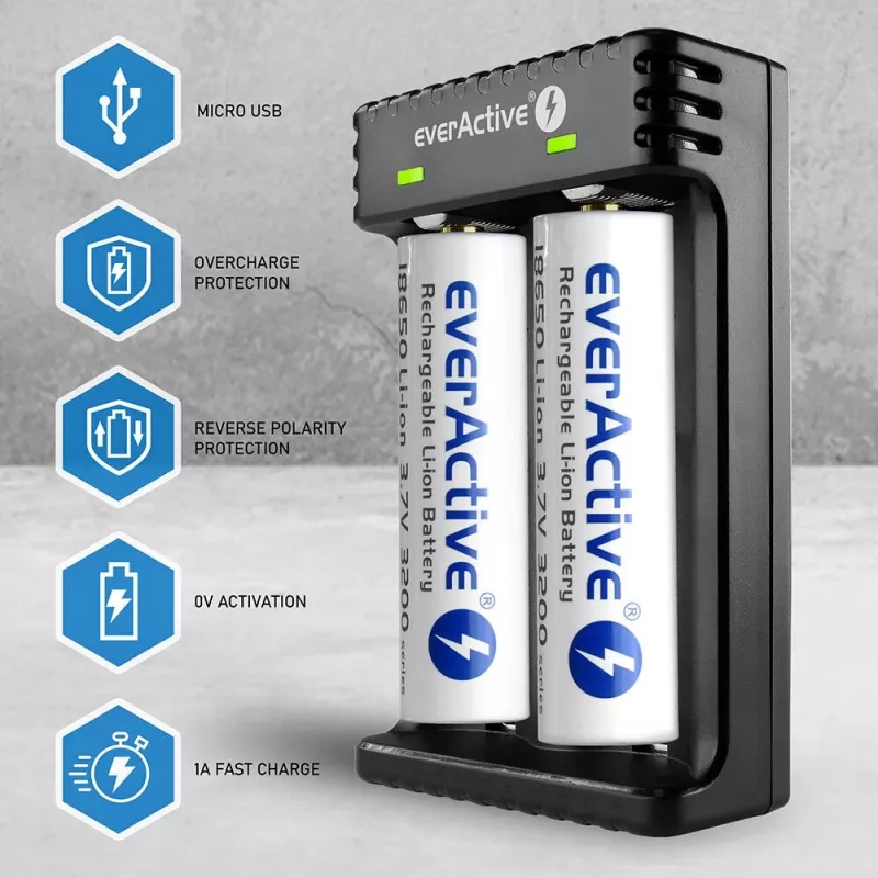Baterijų įkroviklis everActive LC200 buitinis USB, 2 lizdai, Li-Ion, palaiko A/AA/AAA/AAAA/C/D, 5 V įėjimas, 4,2 V išėjimas, juodas