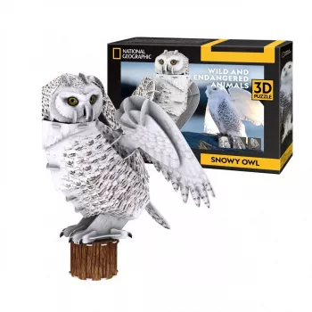 CubicFun 3D dėlionė NG Sniego pelėda, 32 detalės, nuo 8 metų